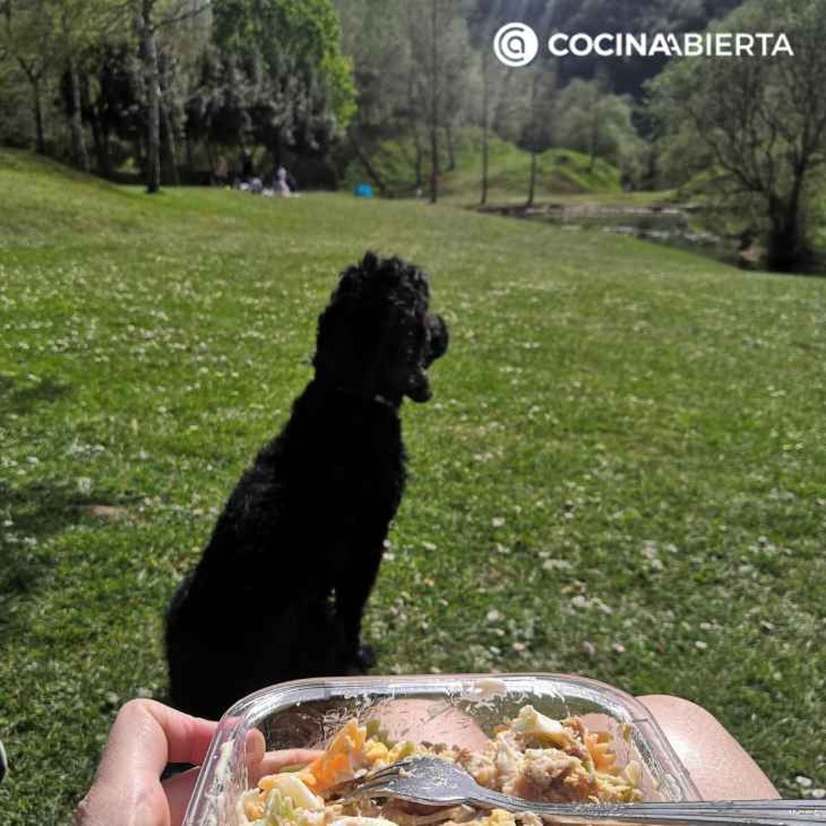 La Arboleda es un lugar perfecto para disfrutar de comidas fáciles al aire libre