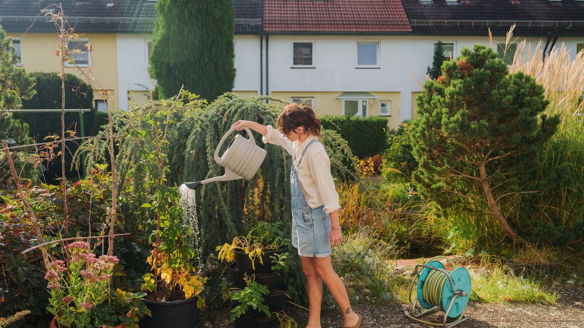 Regar de más o abonar sin criterio puede generar estrés en nuestro jardin