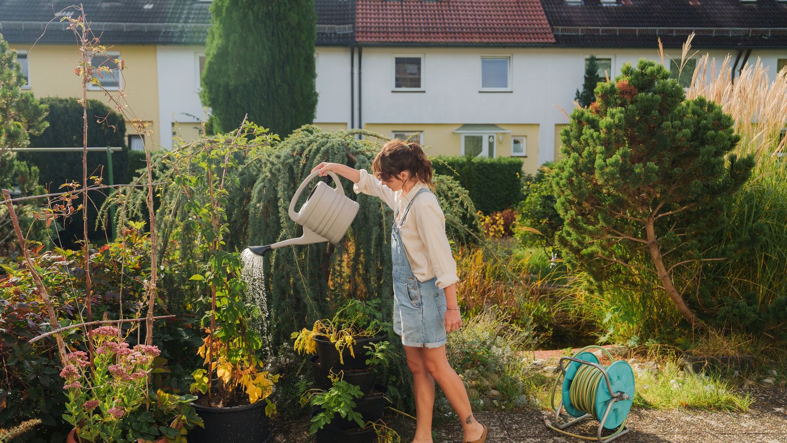 Regar de más o abonar sin criterio puede generar estrés en nuestro jardin