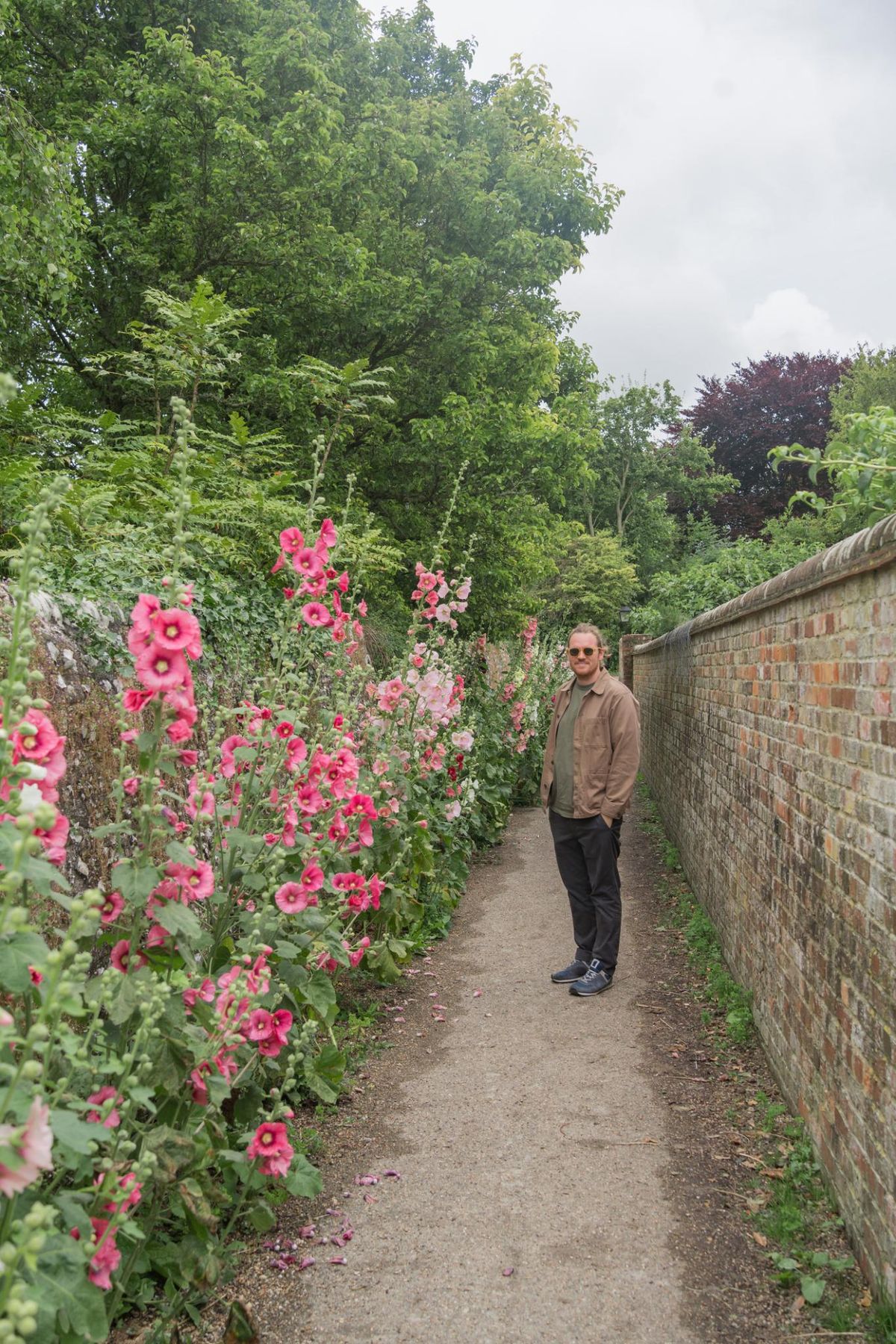 Jardín con malva real.