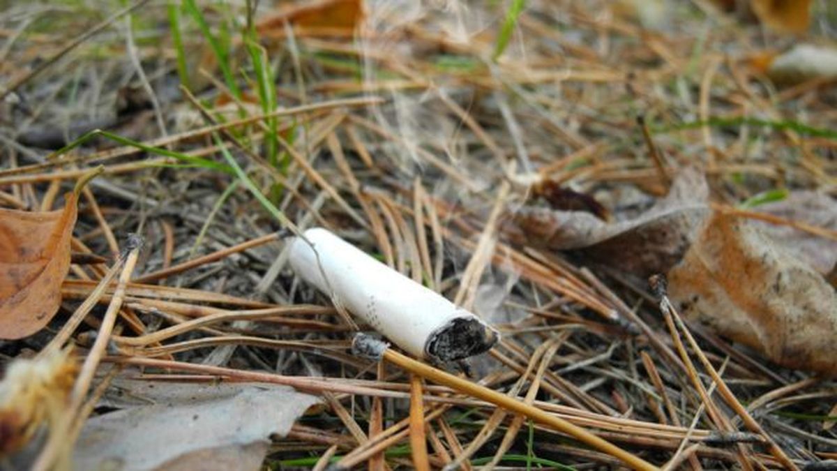 no fumar en bosques para evitar incendios