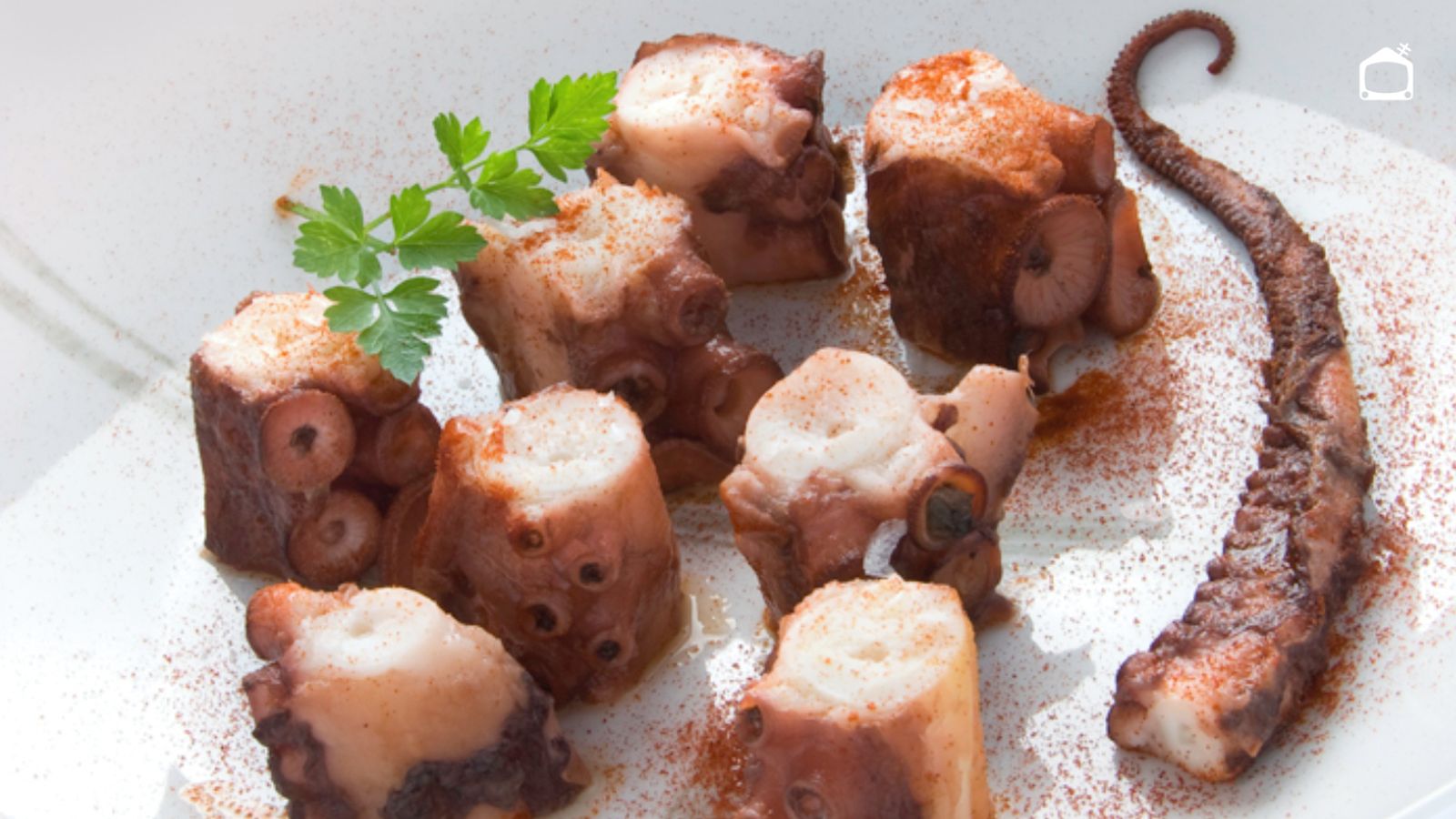 Pulpo asado a la cerveza: una receta para los que quieren probar cosas nuevas