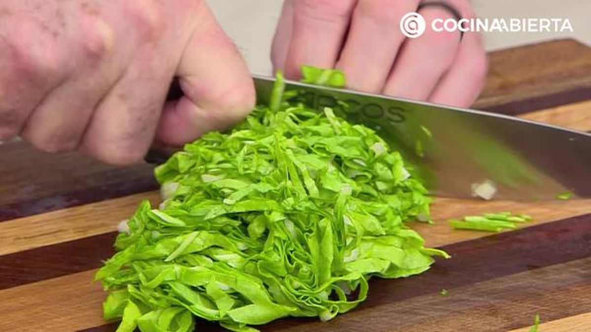 karl7143 brick acelgas p2