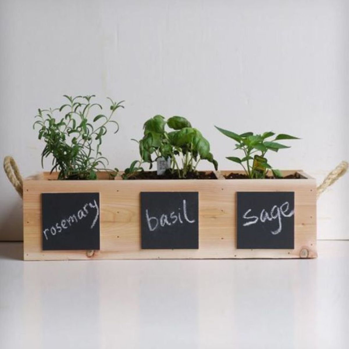 reciclar cajas de vino aromaticas