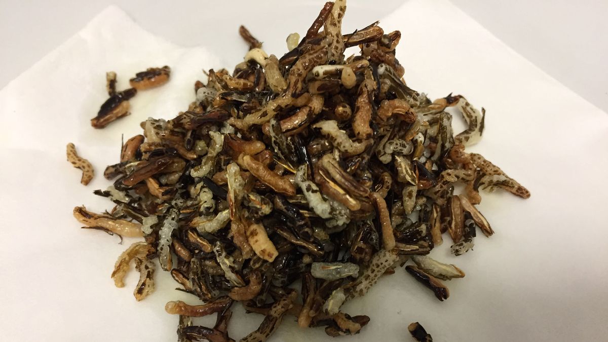 gusanos arroz frito halloween xl