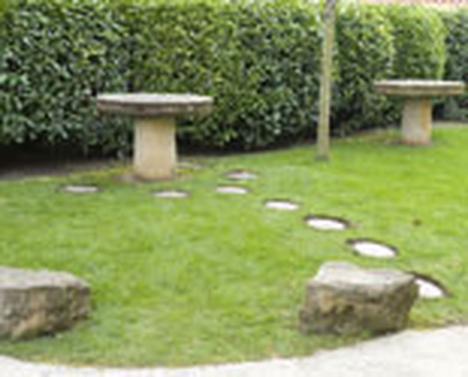 558 paso japones p08 558 paso japones p08