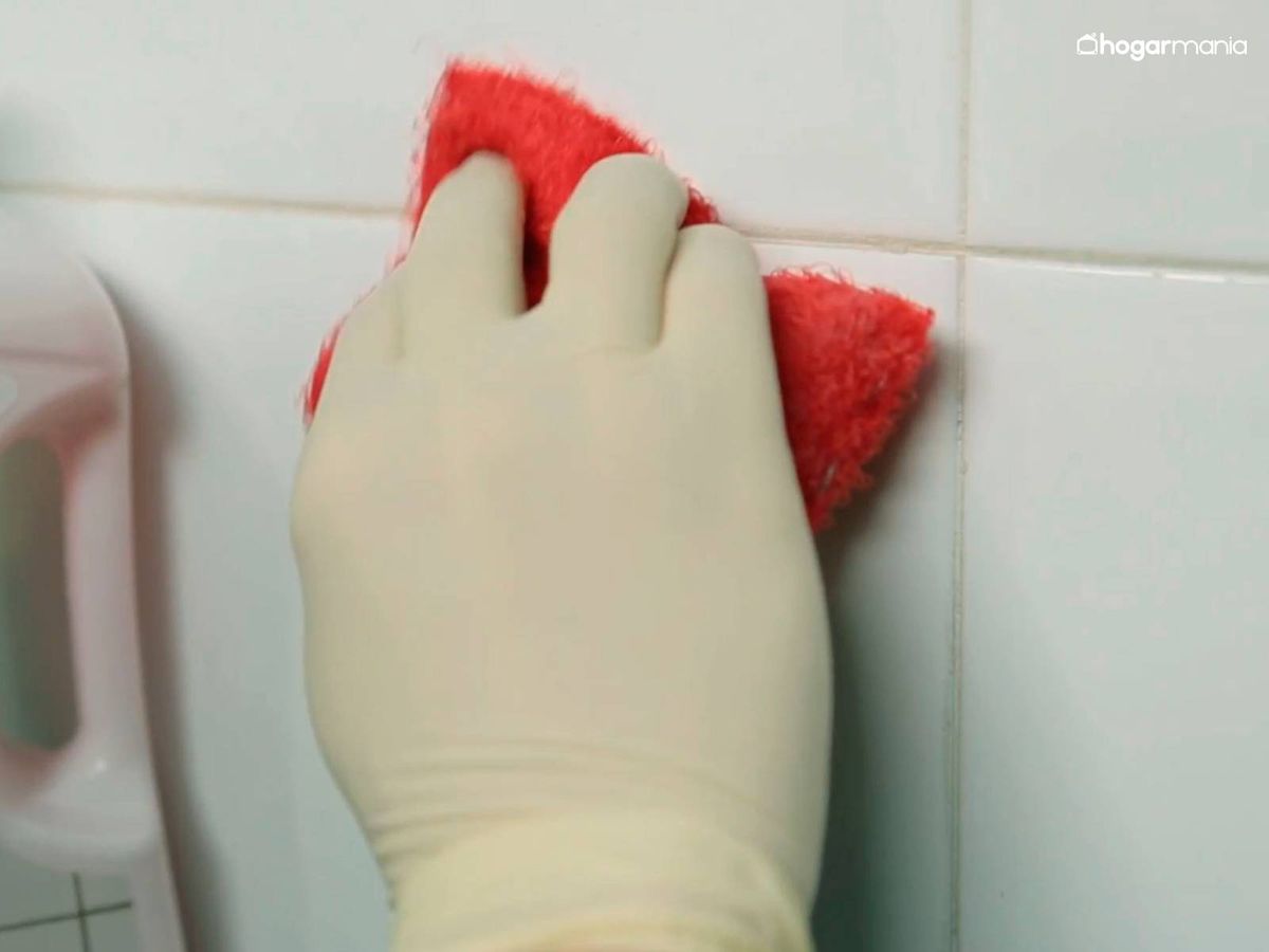 Limpia la zona a tratar