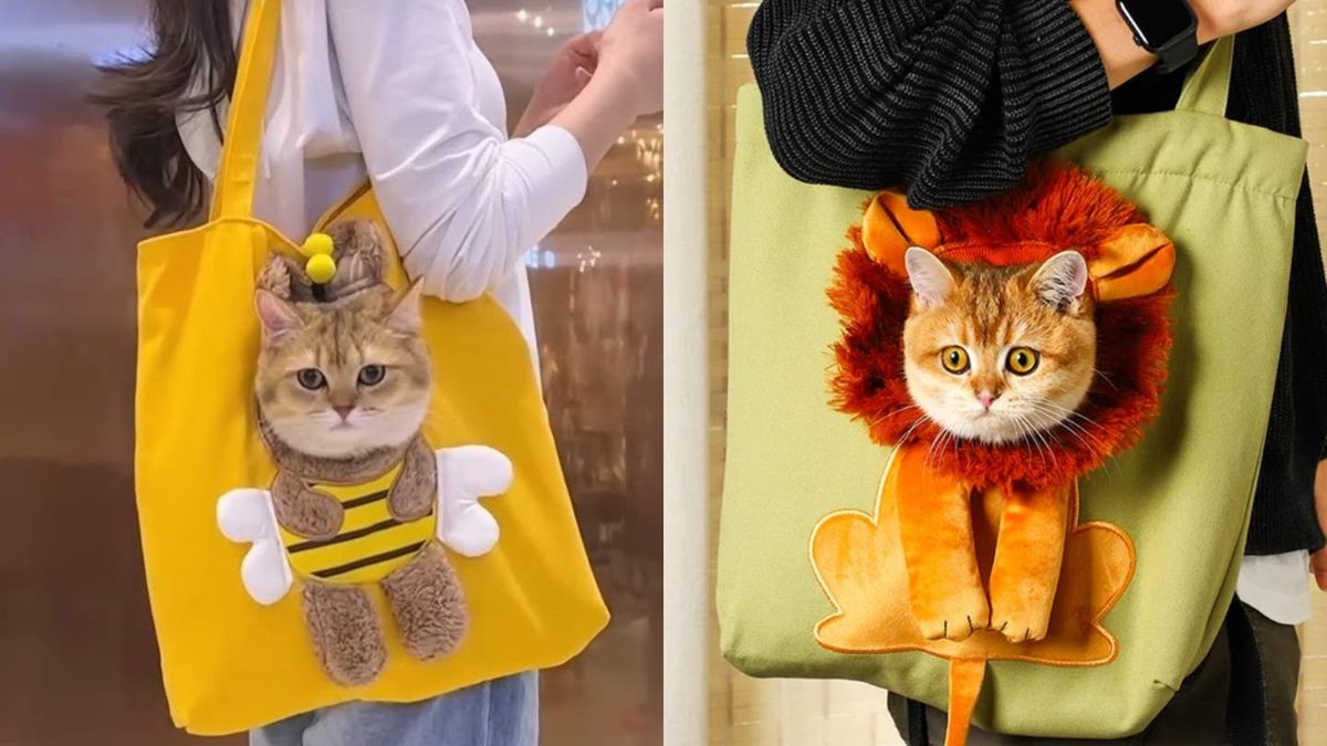 Estas bolsas de tela son la forma más divertida de sacar a tu mascota / Fotos: Pinterest