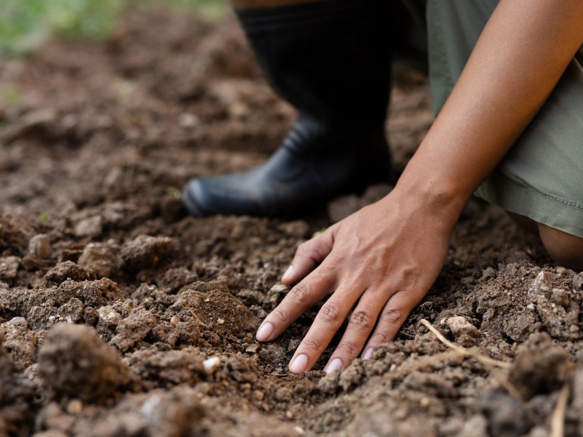 Un pH muy bajo limita los microorganismos beneficiosos, afectando la descomposición y cicatrización de las raíces.