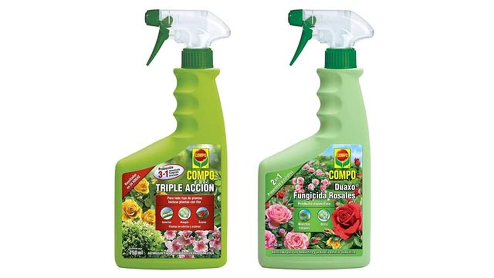 pack compo amazon