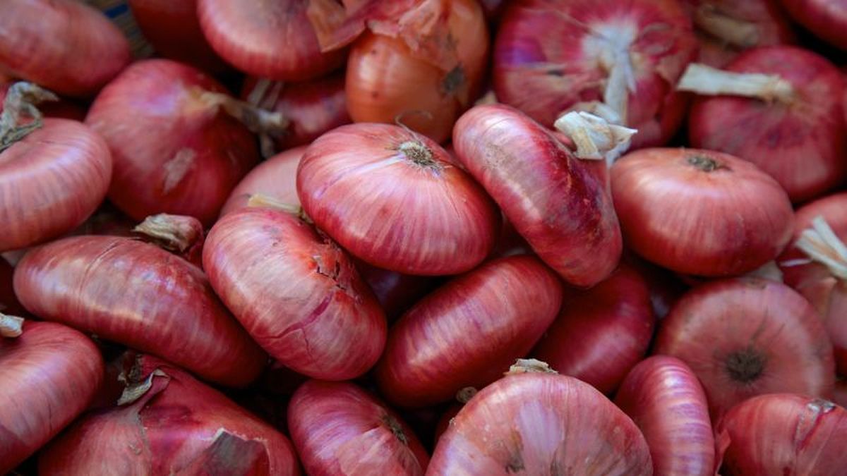 Cebollitas francesas o cipollinis