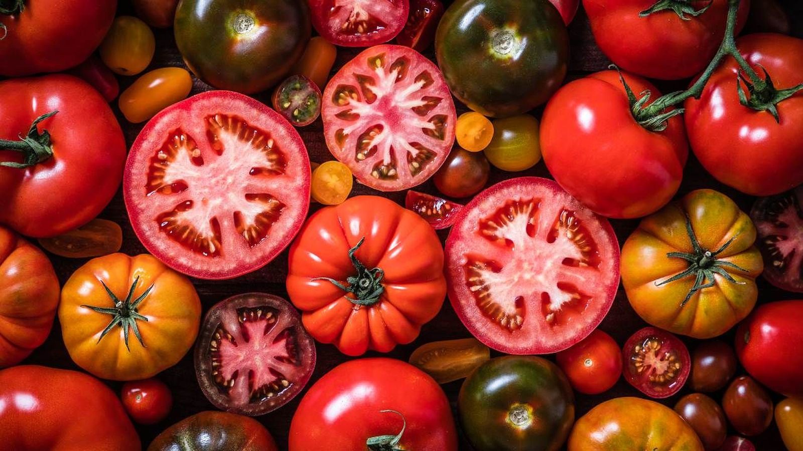 tomates tomates