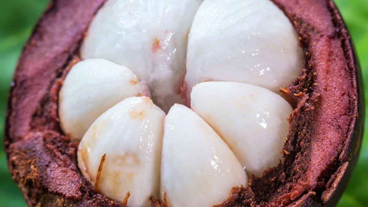 Mangostán por dentro