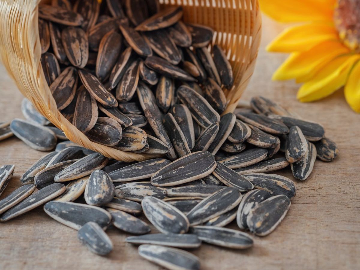 Las pipas son semillas, pero a nivel nutricional se agrupan con los frutos secos