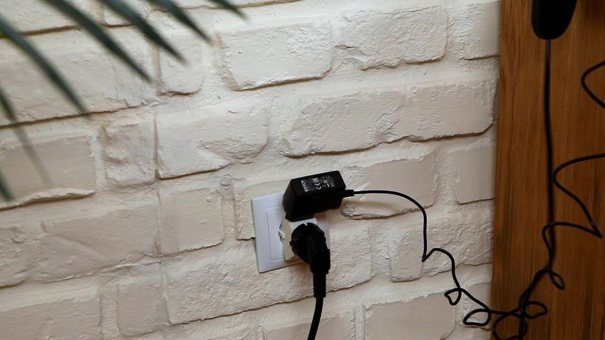 Tipos de ladrones elécticos