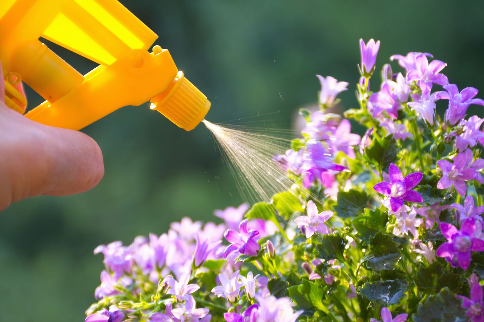 jardineria abono fertilizante liquido
