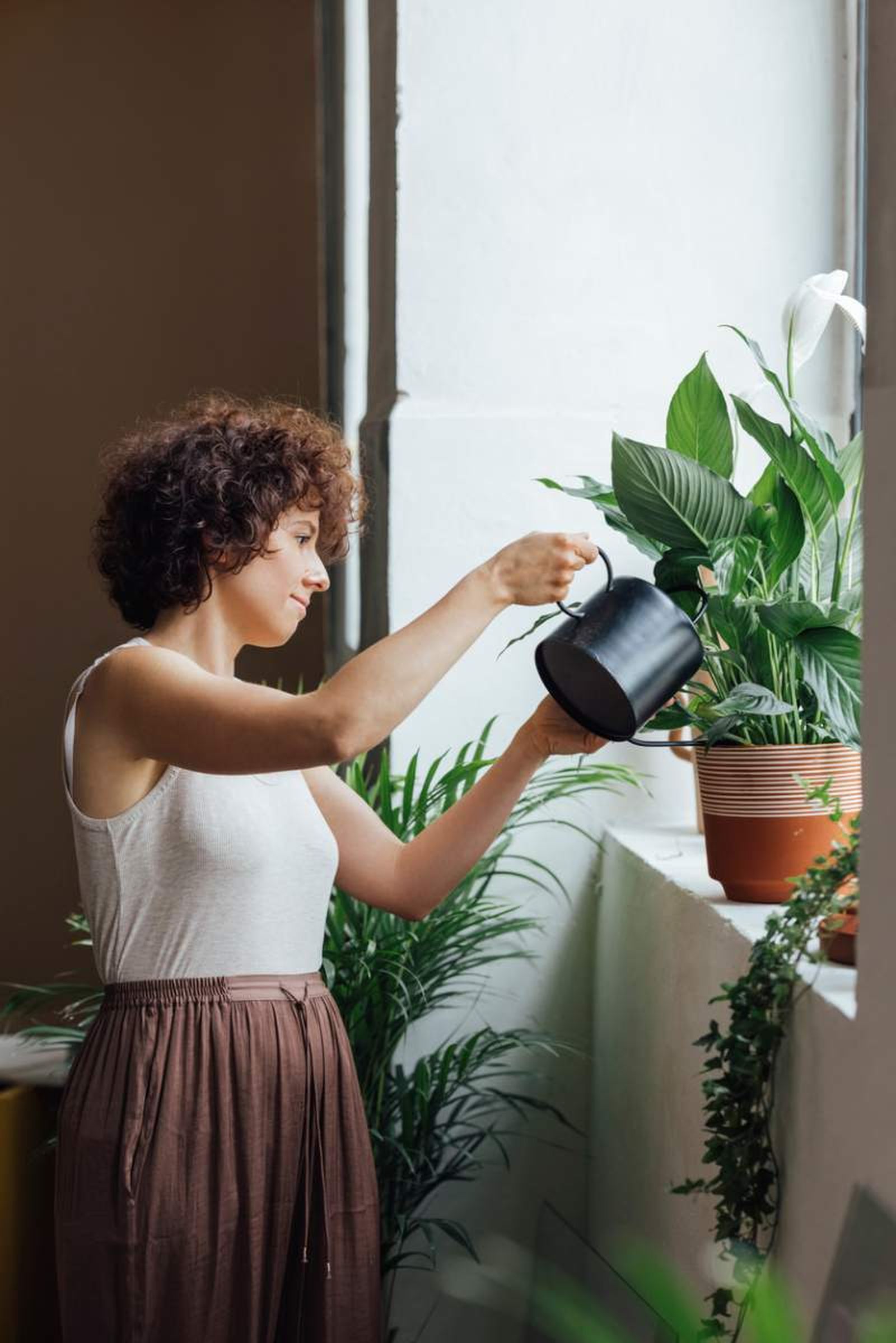 Cada planta requiere frecuencias de riego diferentes Cada planta requiere frecuencias de riego diferentes
