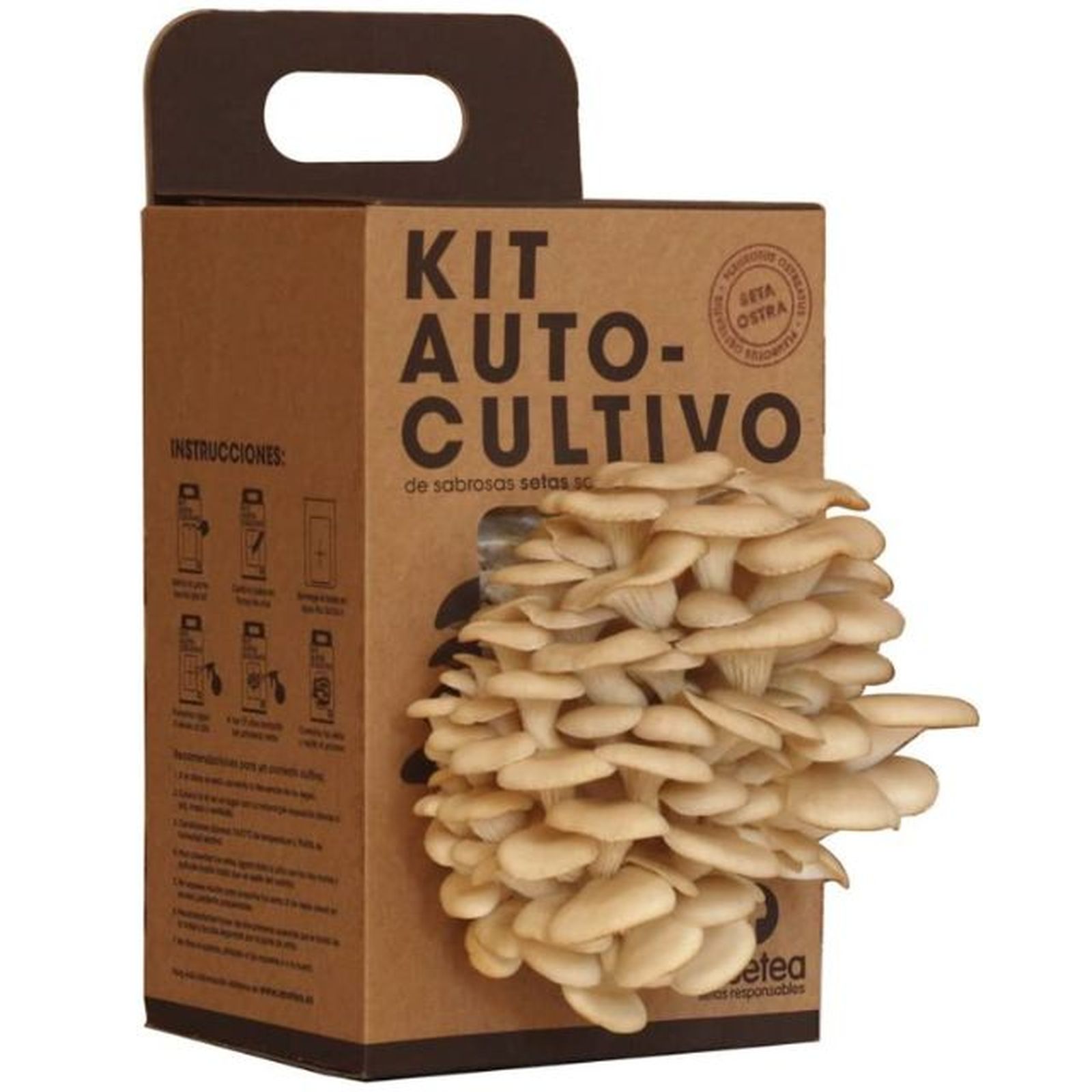 Kit autocultivo de setas de Resetea