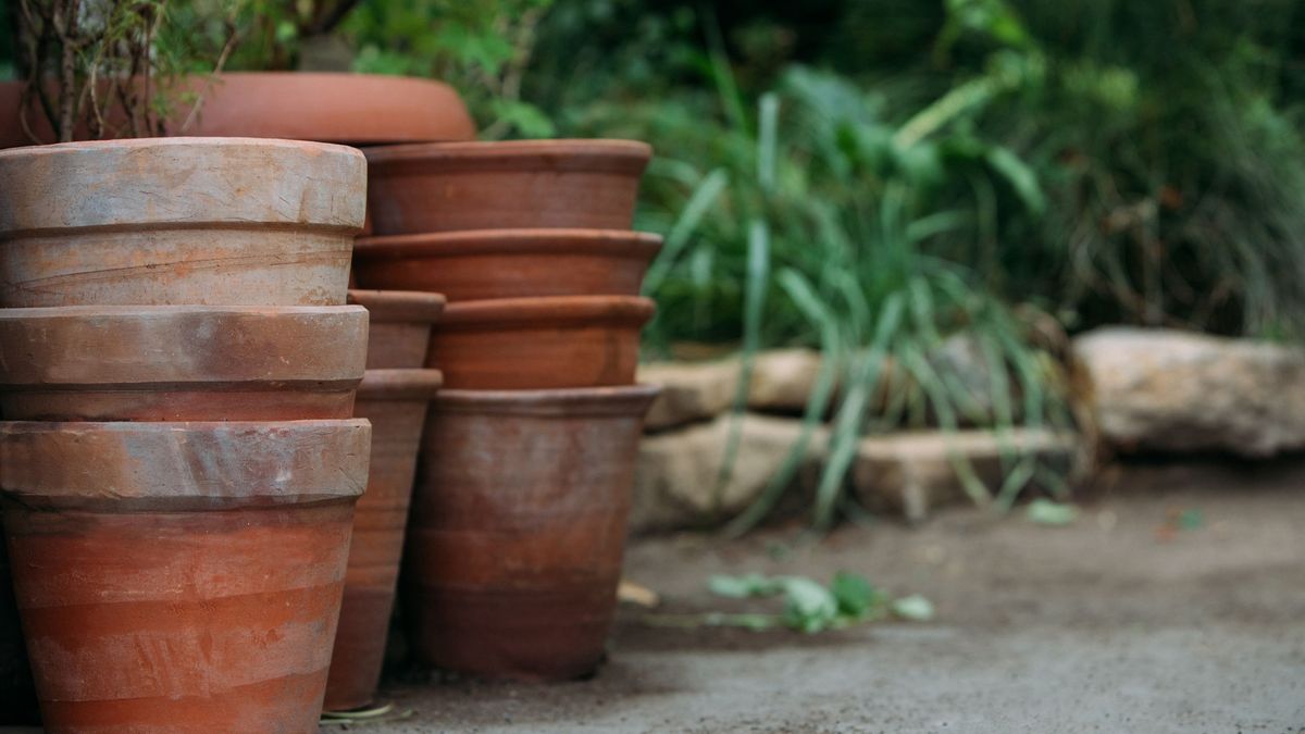El color y material de la maceta es determinante para la planta