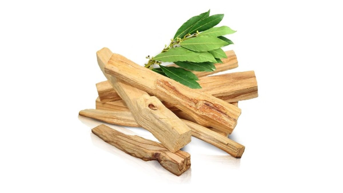 palo santo madera sagrada