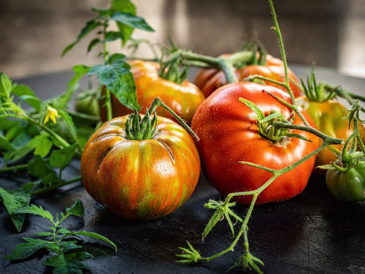 El aroma, la firmeza y la temporada ayudan a encontrar tomates con más sabor en la frutería