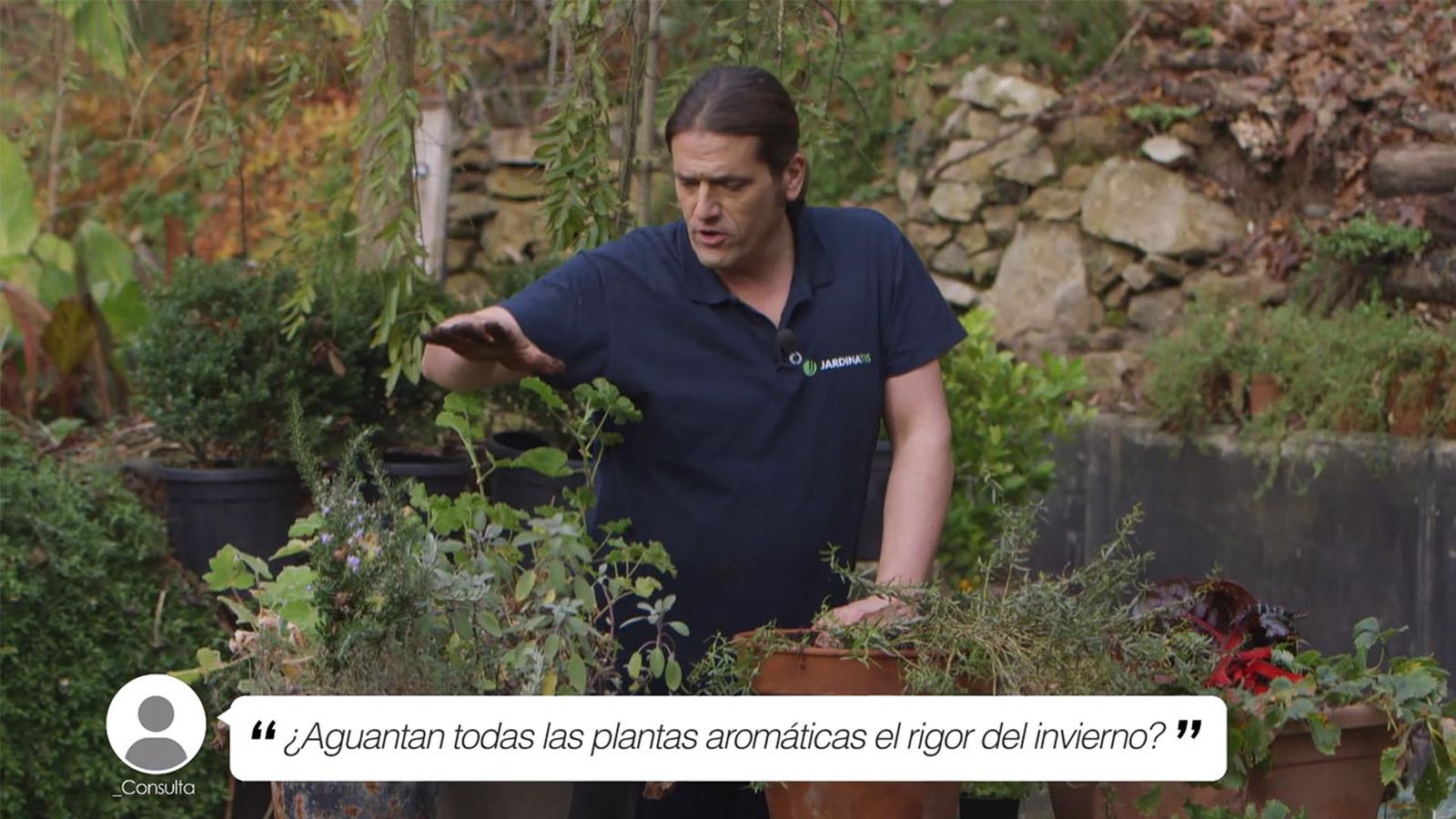 brico jardin 1021 briconsulta aguantan aromaticas invierno brico jardin 1021 briconsulta aguantan aromaticas invierno