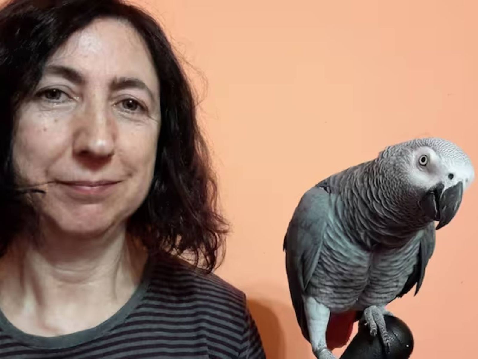 Para Josune, su dueña, más que una mascota, Berritxu es parte de su familia. Para Josune, su dueña, más que una mascota, Berritxu es parte de su familia.