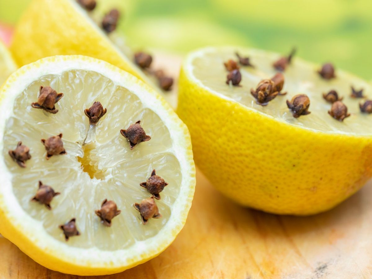 El clavo de olor se puede utilizar entero o molido