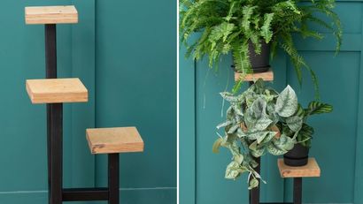 Expositor para plantas