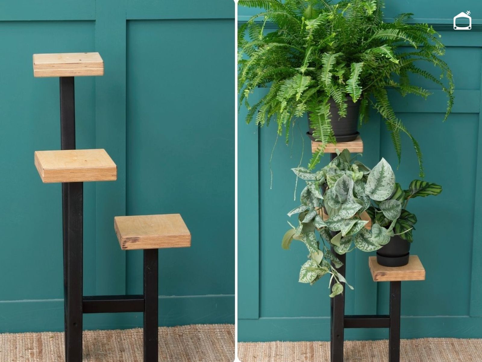 Expositor para plantas con tres alturas, un proyecto fácil para ordenar macetas