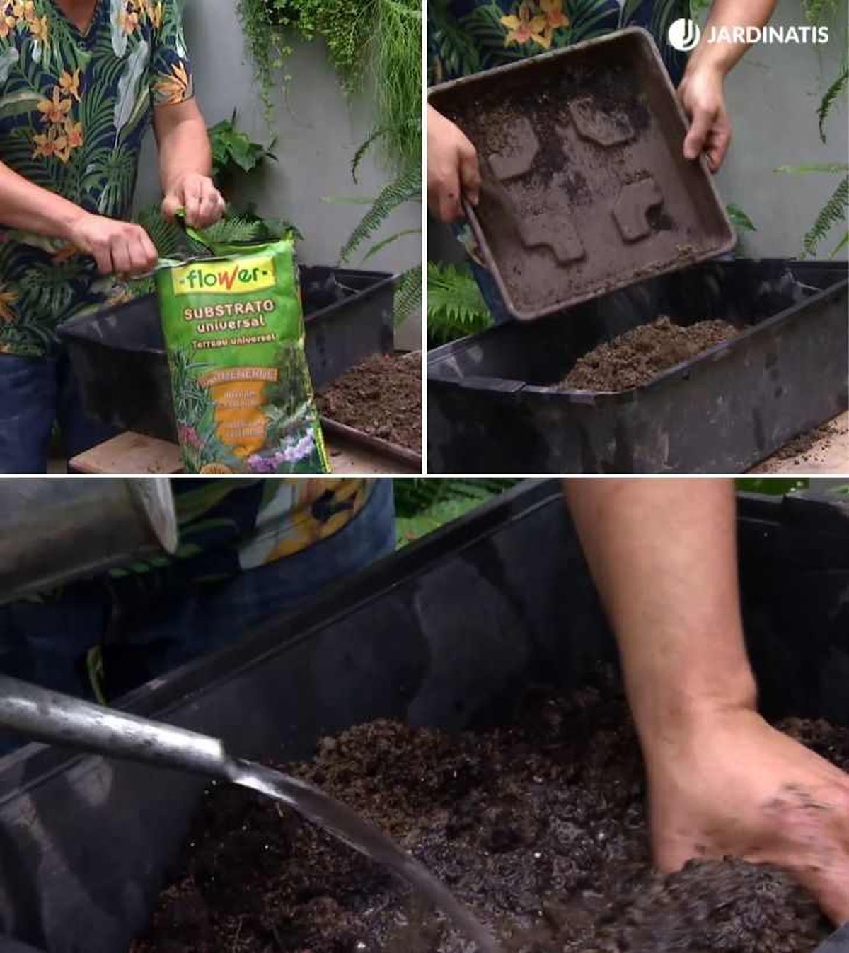 Sustrato para semilleros