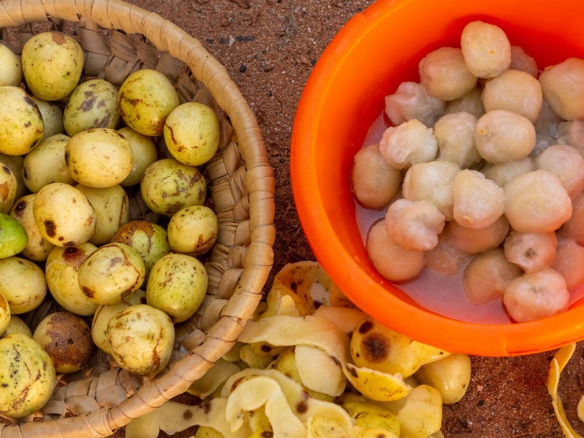 Marula (fruta de los elefantes)