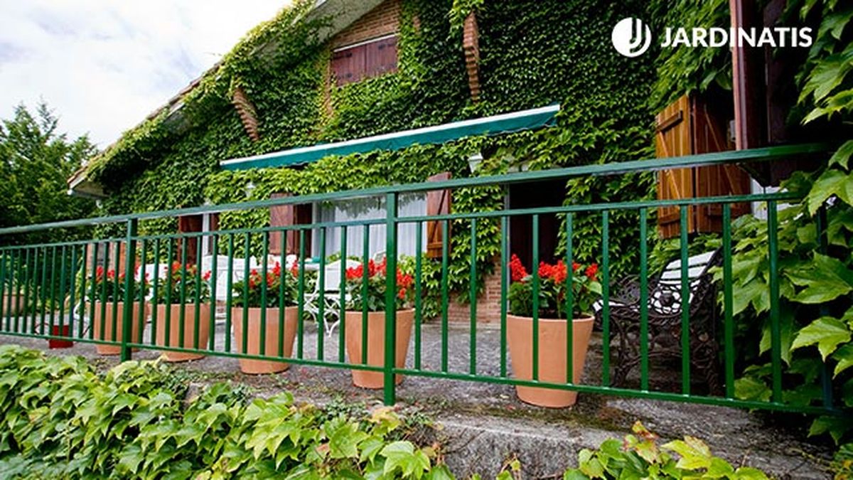 plantacion de salvia roja o banderilla en la terraza deco 308 final