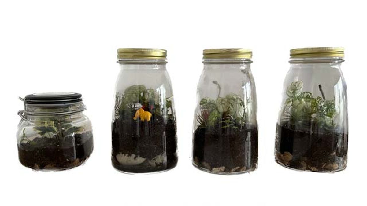 jardines eternos que son