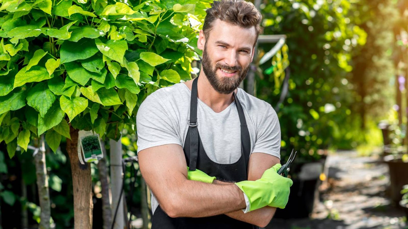 Son muchos los jardineros que han decidido dejar de plantarla.