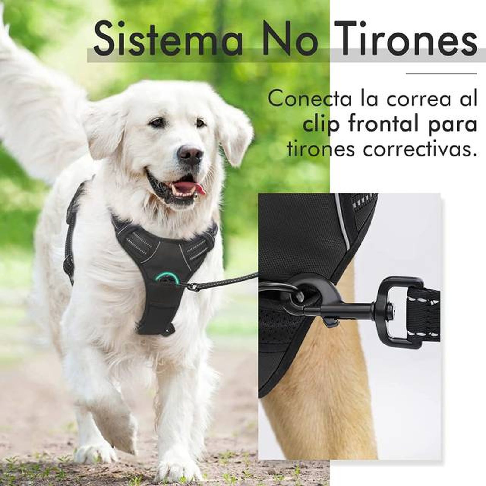 productos para perros mas vendidos amazon arnes antitirones productos para perros mas vendidos amazon arnes antitirones