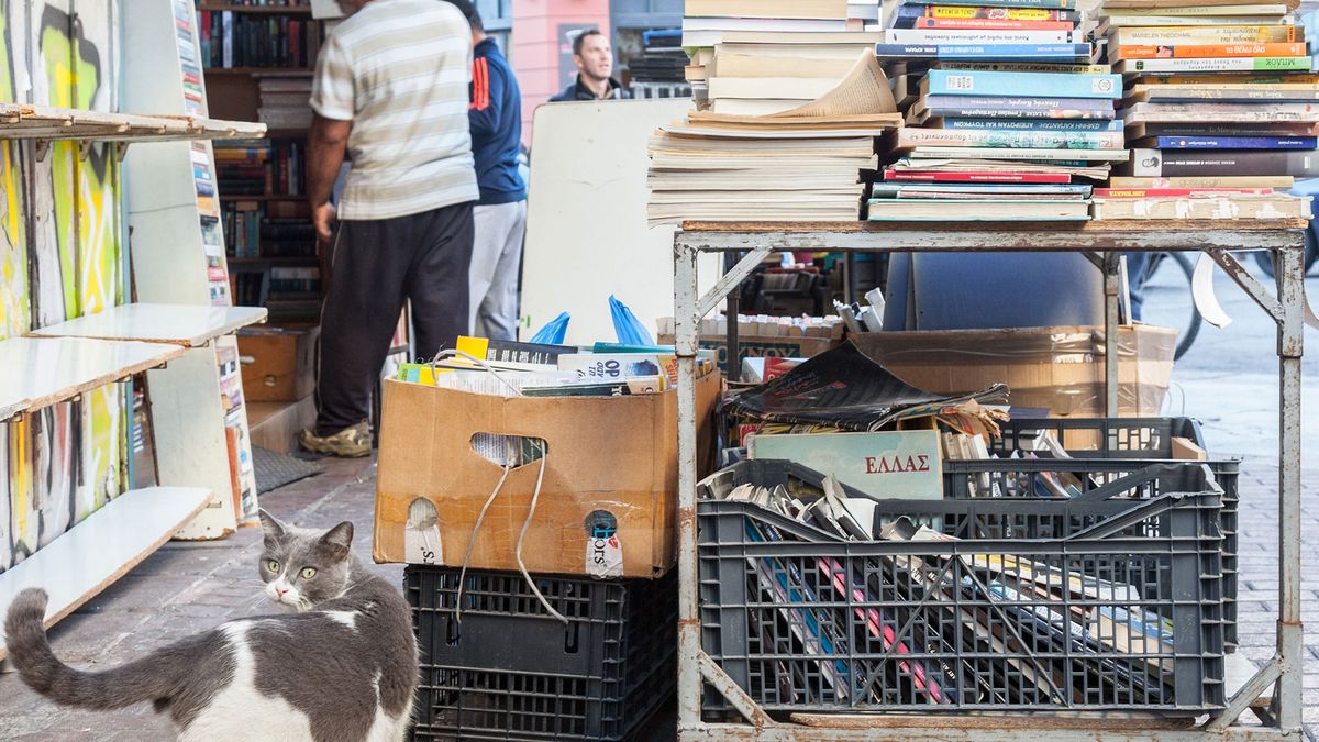 mascotas mercadillo solidario fondos