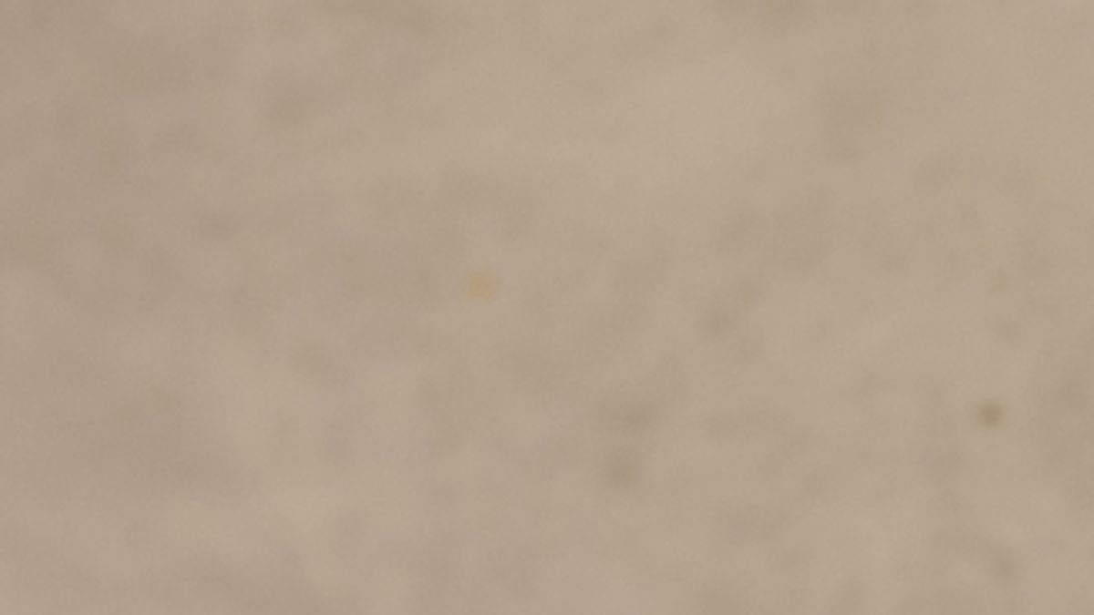 Alubias de Tolosa con sacramentos, una receta de Joseba Arguiñano