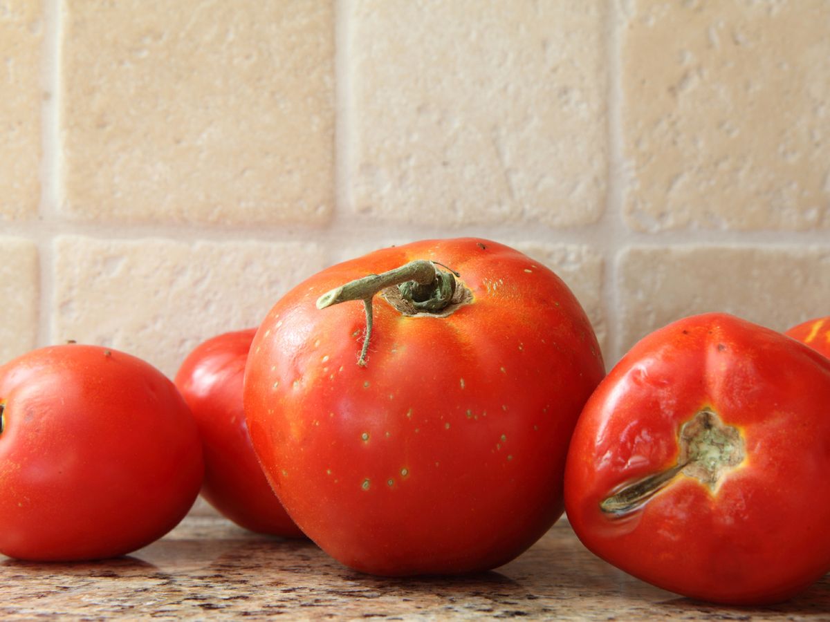 Los tomates no necesitan ser perfectos para tener sabor: su aroma depende más de cómo se conservan que de su aspecto.