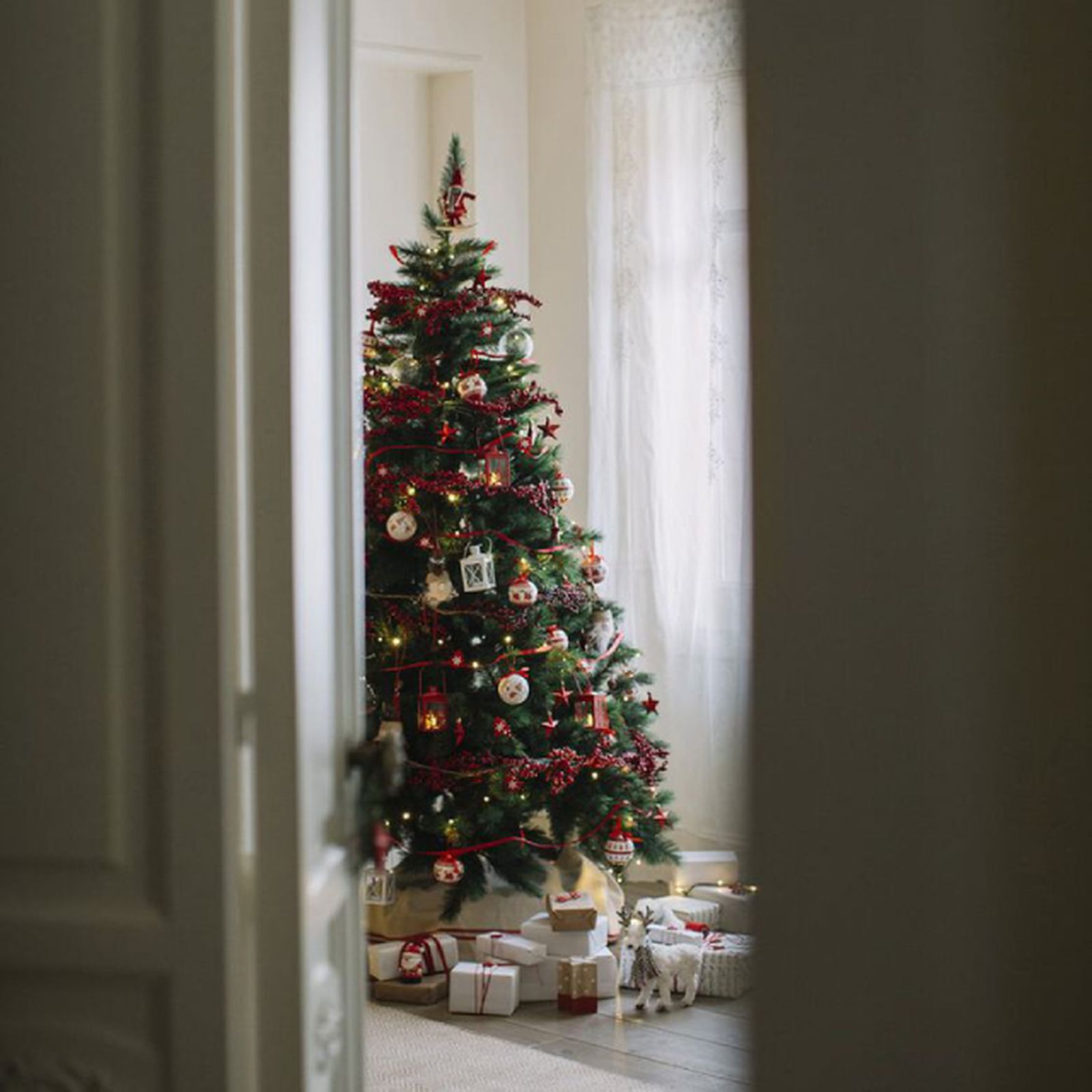 arbol de navidad casa viva arbol de navidad casa viva