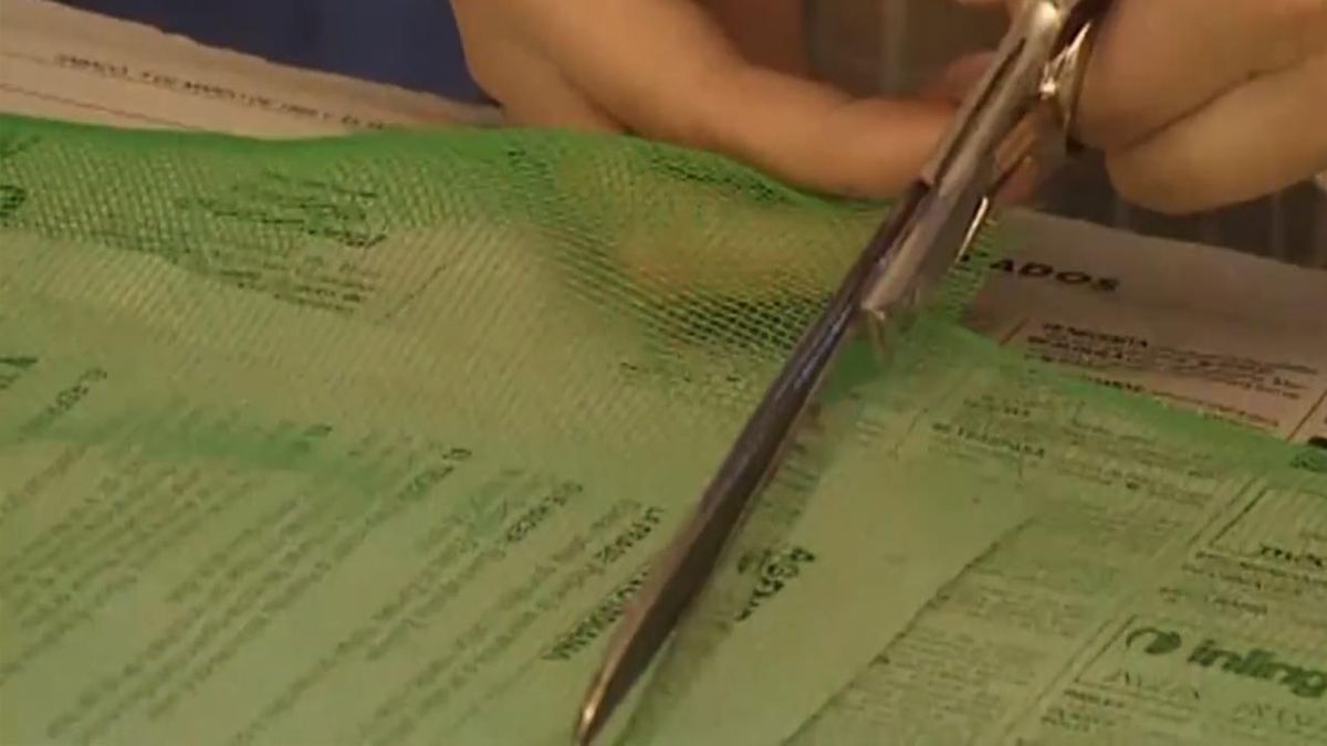 brico 031 construir tutor guia para las plantas paso 2