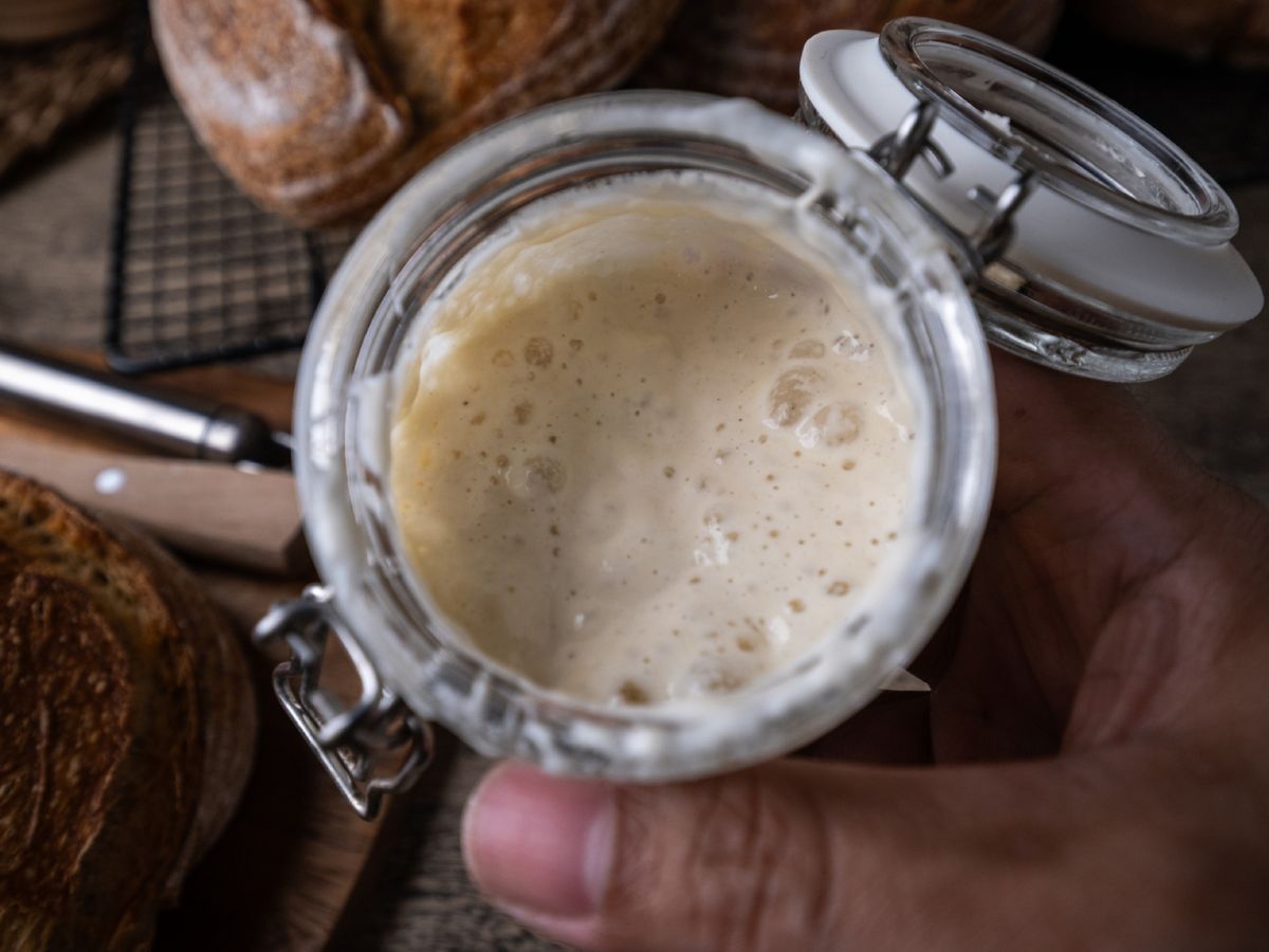 Burbujas de vida: una masa madre activa en plena fermentación, el corazón del pan artesanal.