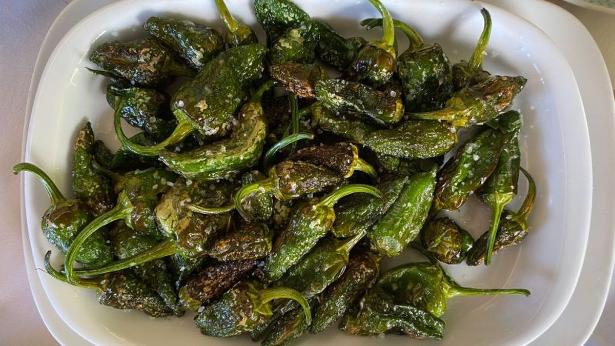 Pimientos del Padrón