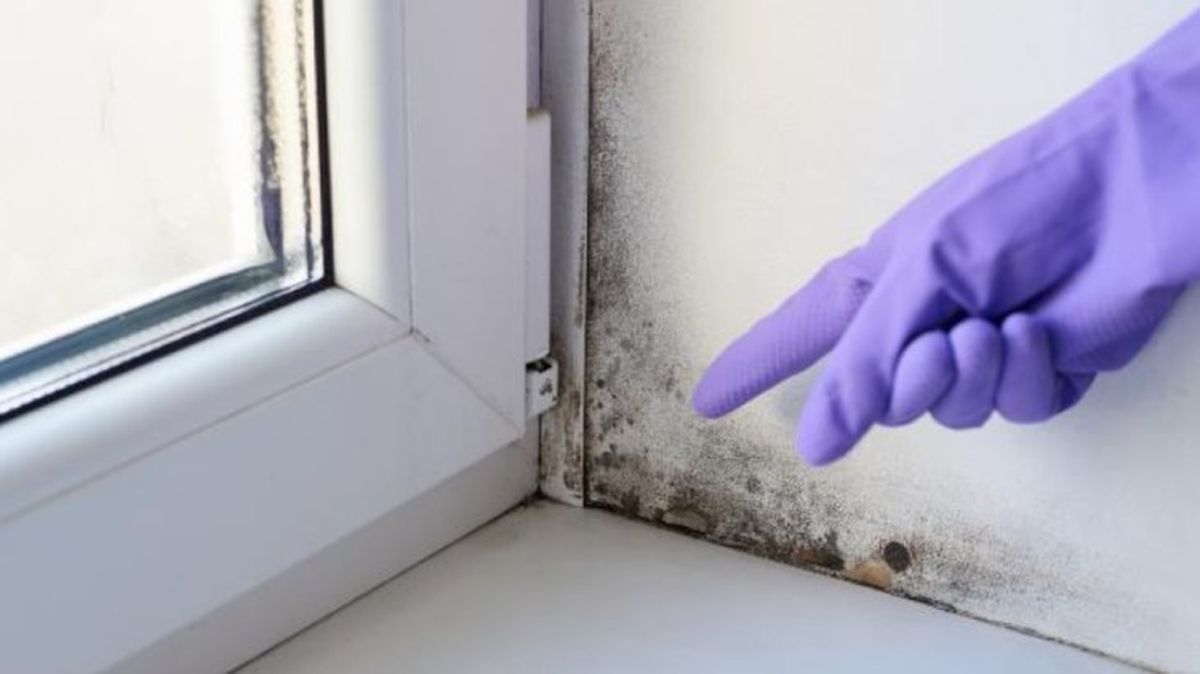 El moho indica que hay un exceso de humedad en casa