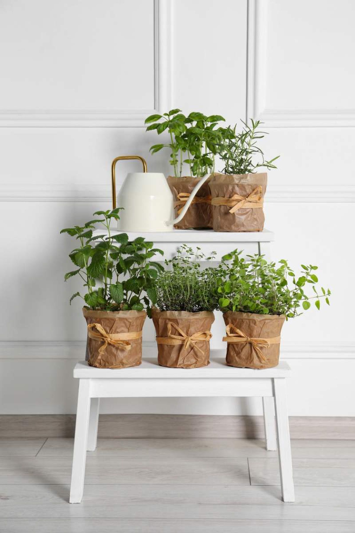 Hierbas aromáticas en macetas.