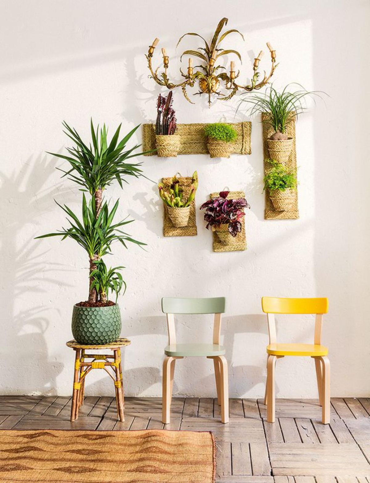 Pared del salón decorada con tiestos de fibras naturales y plantitas.