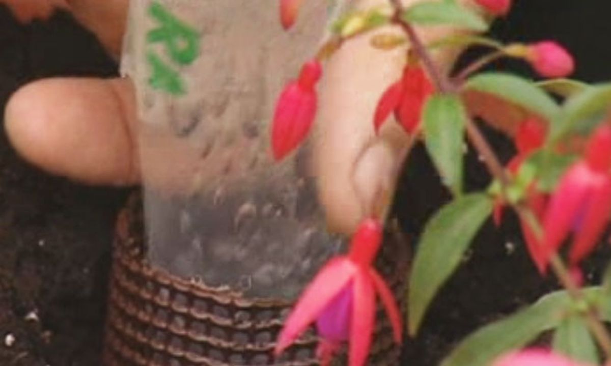 riego con agua gelificada detalle