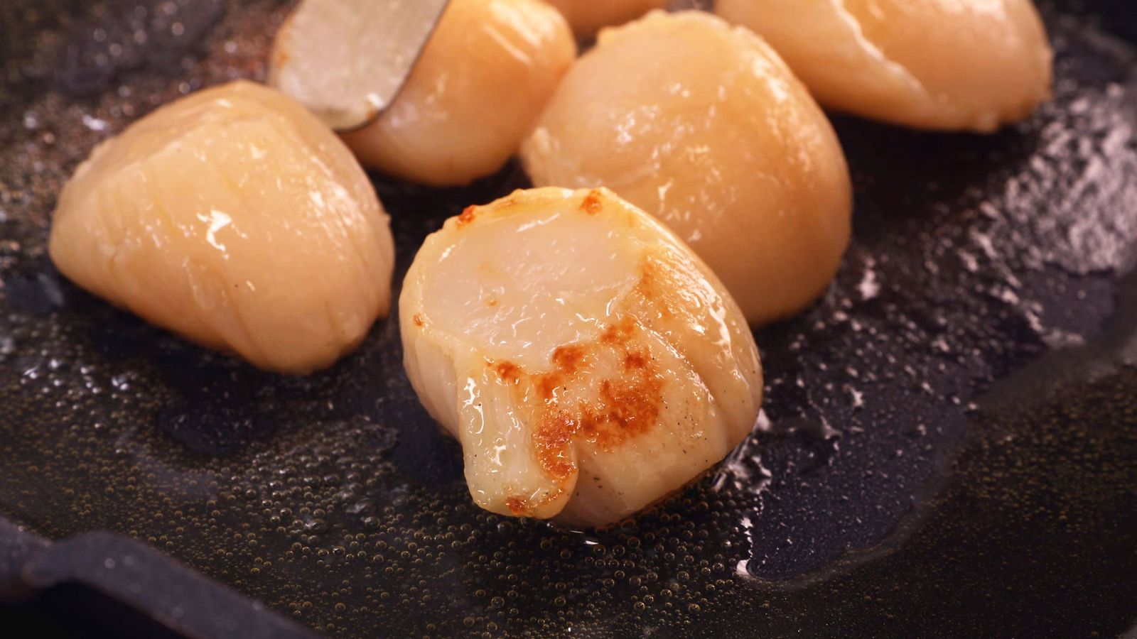Vieiras gratinadas a la gallega paso 4 Vieiras gratinadas a la gallega paso 4