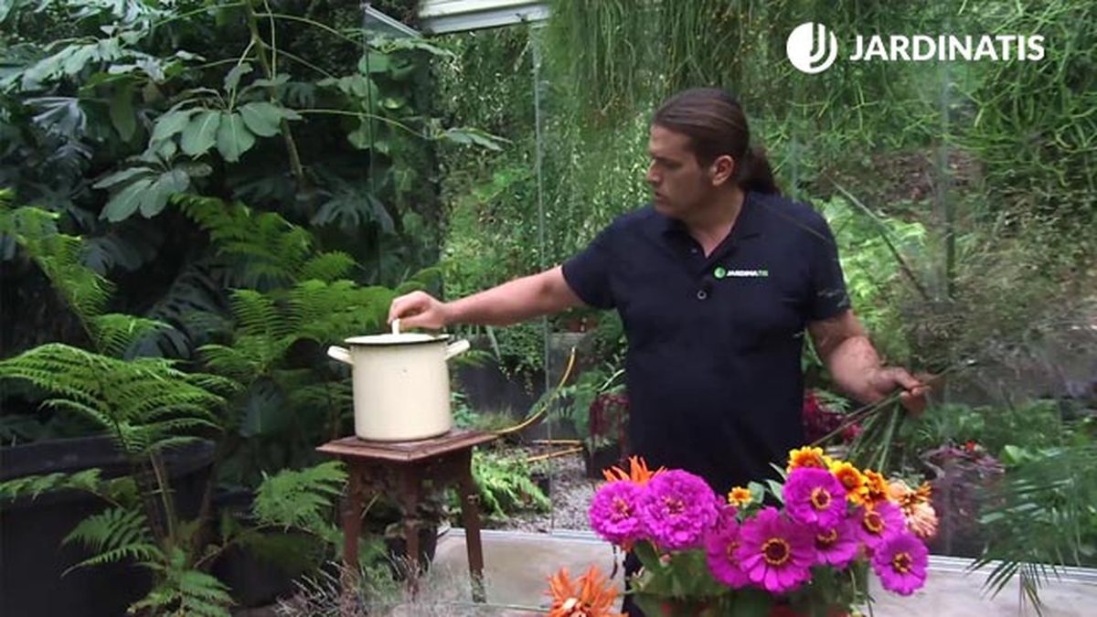 deco 748 jardin caracteristicas arreflo floral zinnias gramineas