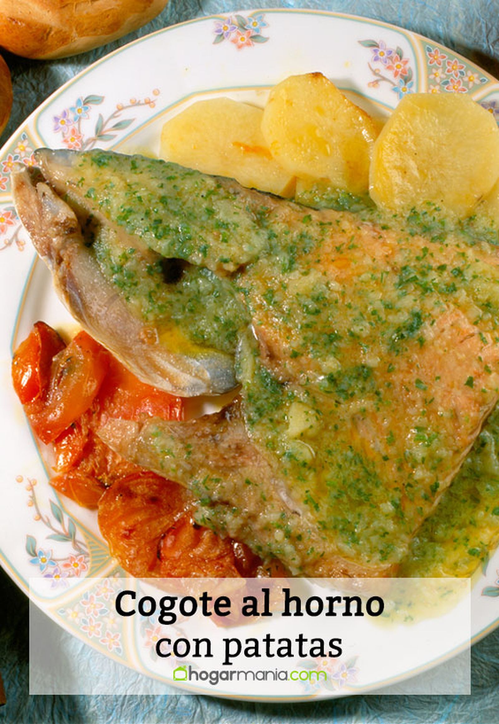 087 2 cogote salmon horno pin